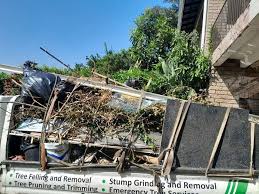 Best Same-Day Junk Removal Services  in Wellman, IA