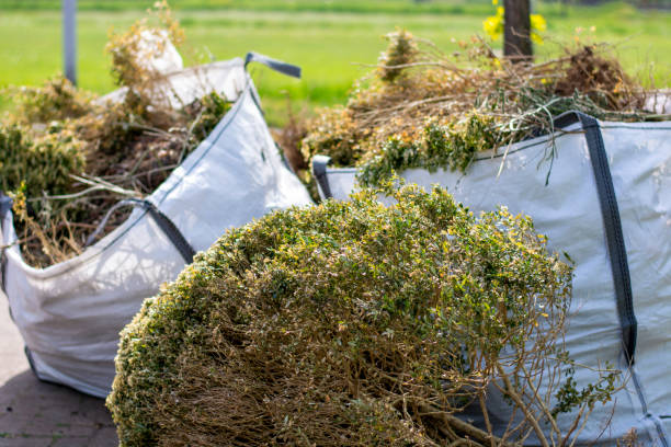 Best Electronics and E-Waste Disposal  in Wellman, IA